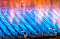 Marldon gas fired boilers
